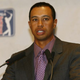 Illustration for article titled Tiger Woods Announces Return To Sex